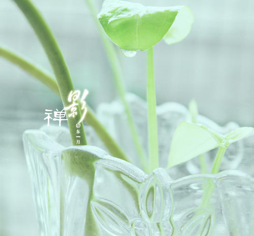 适合自己的心情语录