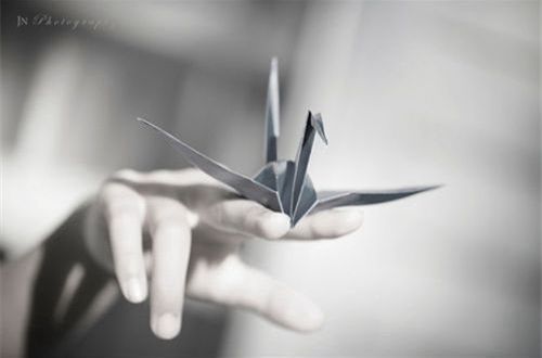 女生抖音签名搞笑撩人2019 我温婉可亲可以为妻
