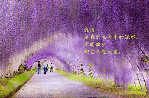 温暖幸福好听的qq个性签名 你是一束光带给我暖与爱