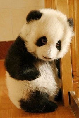 心情低落的文案