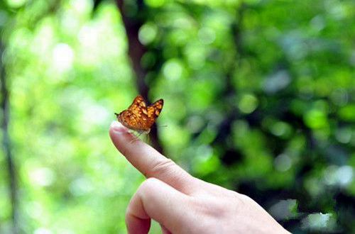 简单好听的情侣签名2019 我的世界因你一点一滴倾倒