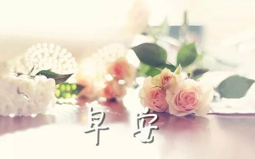早上说说心情感悟生活