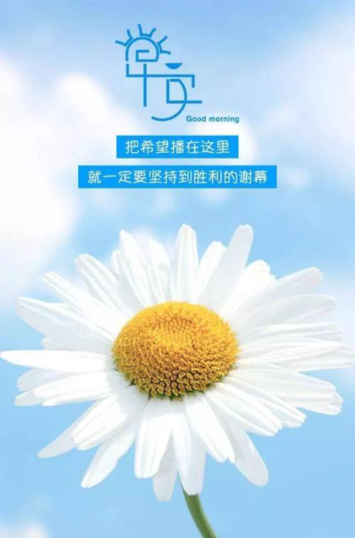 早上说说心情感悟生活
