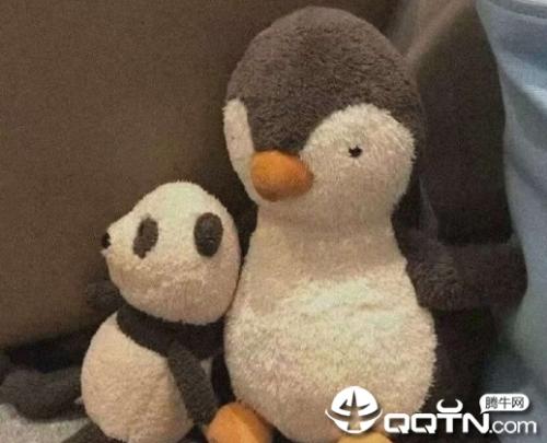qq分组名称简单好听又有趣 qq很有创意的分组网名