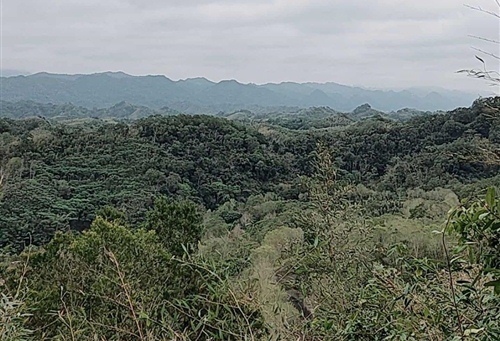 爬山的说说心情朋友圈 适合爬山发的朋友圈说说39句
