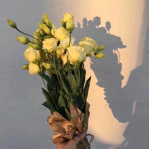 发照片小美女臭美的说说心情