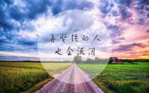 句子摘抄 经典语录
