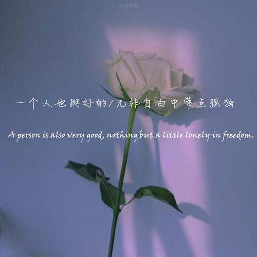 人心换不到人心的句子说说