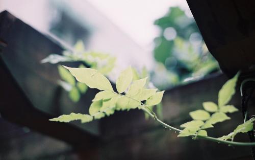 女人心态阳光的句子简短