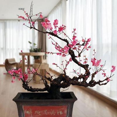 宫崎骏经典语录爱情