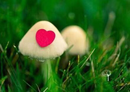 高级情话短句英文