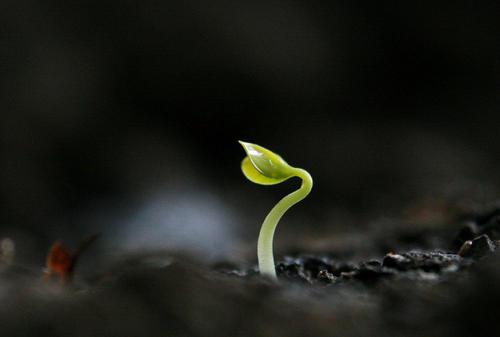 珍爱生命的名人名言精选