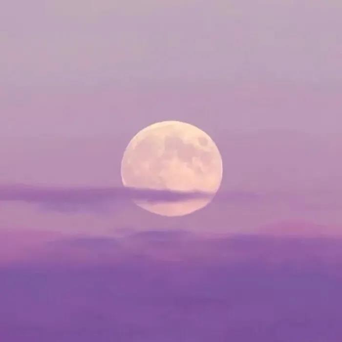 抖音很火很走心的句子