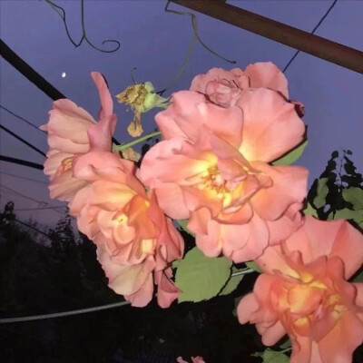 qq说说没人点赞怎么办