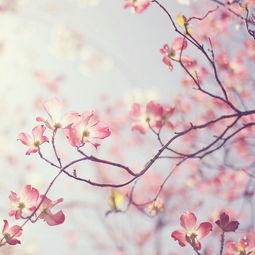 孩子出院的心情感慨发朋友圈