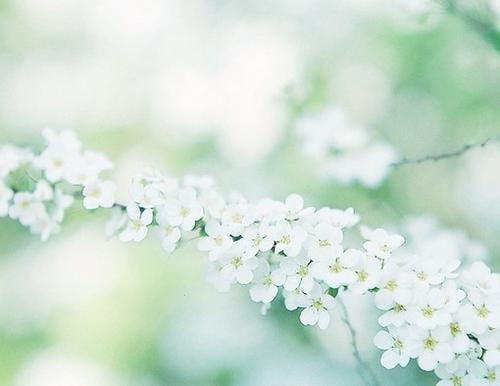 把女生撩湿的短句