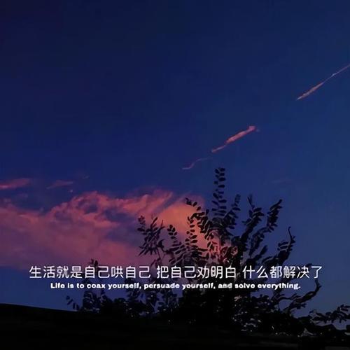 婚姻失败的感悟的句子说说心情