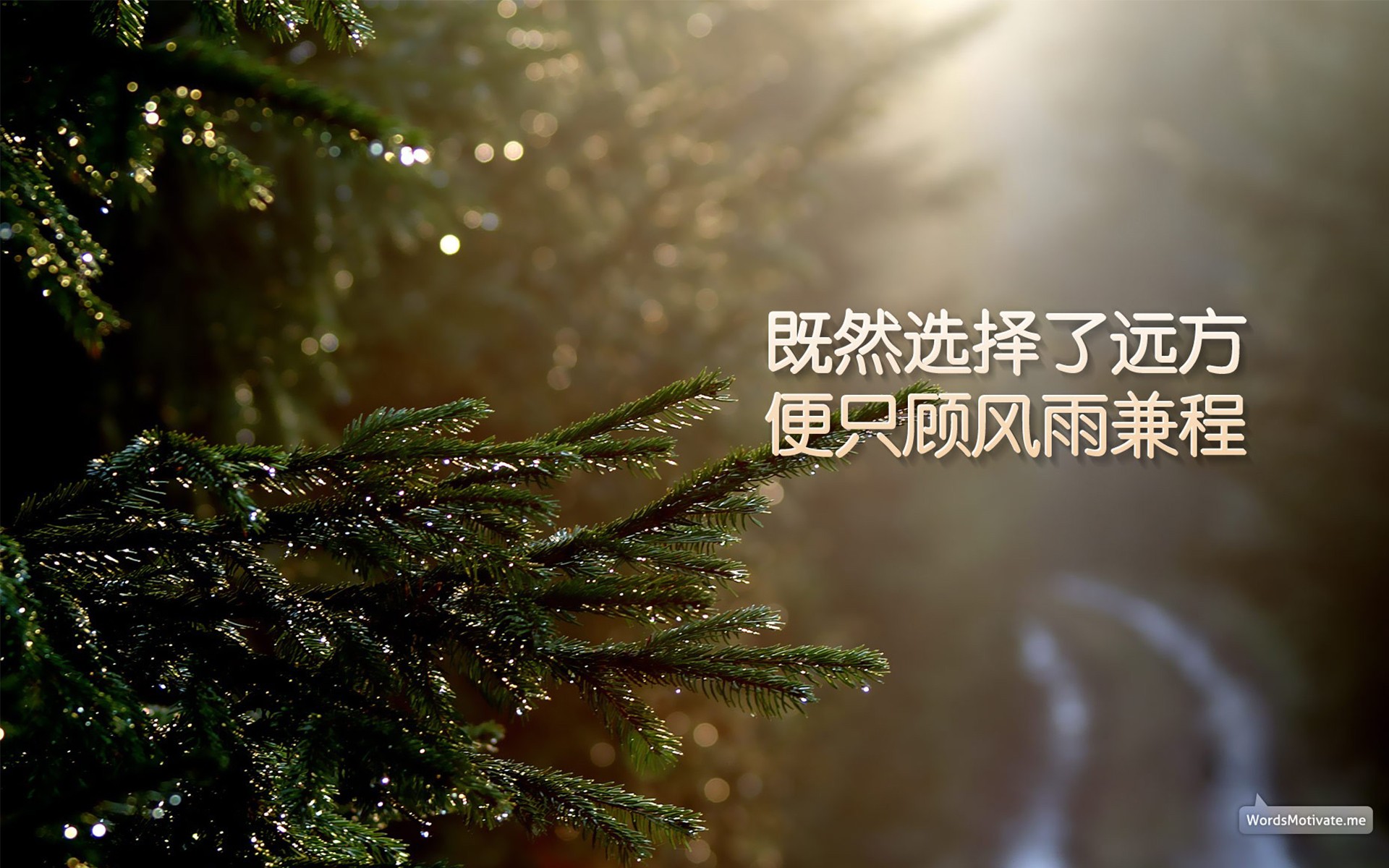 名言名句大全励志人生及感悟
