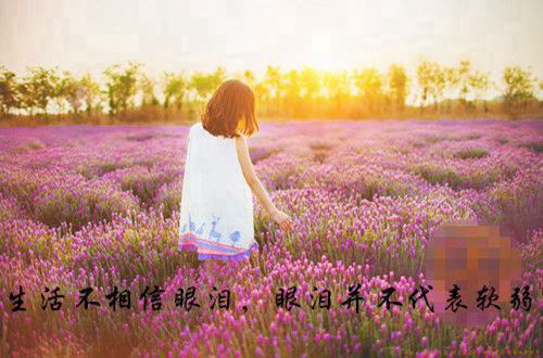 伤感带图片签名49句