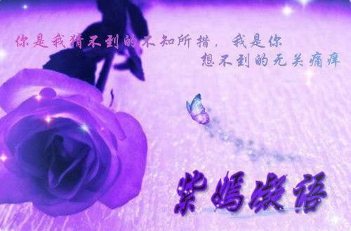 不关于情爱的唯美个性签名46句
