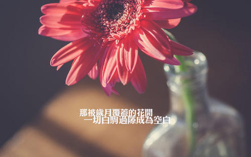 名篇名句摘抄加出处