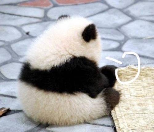 表示太多无奈的诗