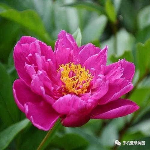 人心现实说说短句