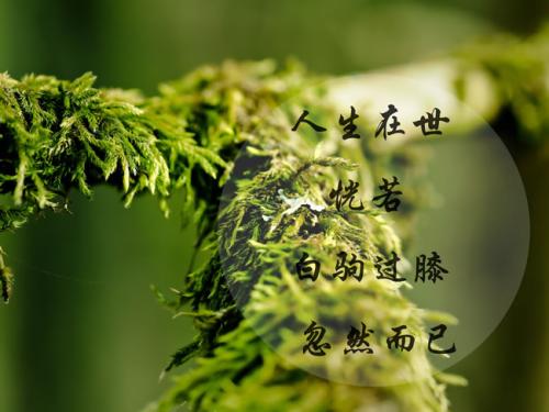 拍视频的心情说说