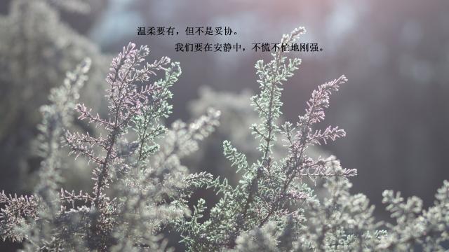心情悠闲的小清新句子