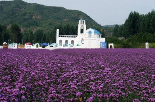 男生帅气冷酷qq个性签名48句