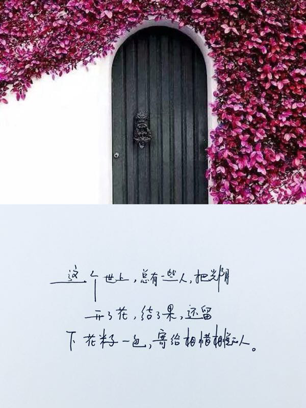 表达今天心情好的成语