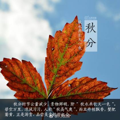 毕业感谢老师的一句话 感恩老师的句子经典语录