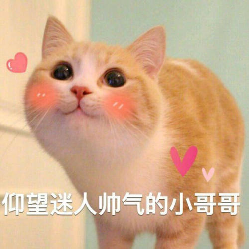 套路妹子的聊天句子