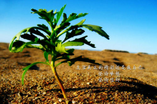 女人励志霸气的句子说说心情
