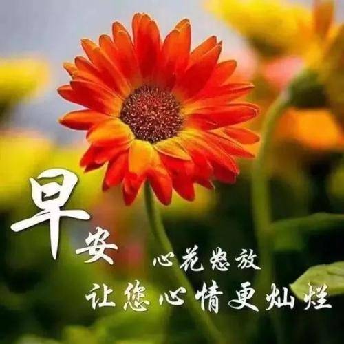 周末早安甜蜜话