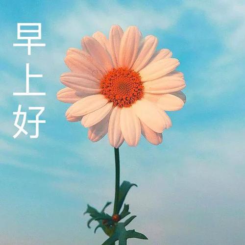 周末早安甜蜜话