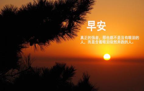 马云精彩语录励志勤奋