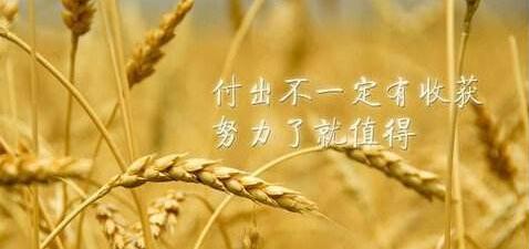 中考初三励志名言精选