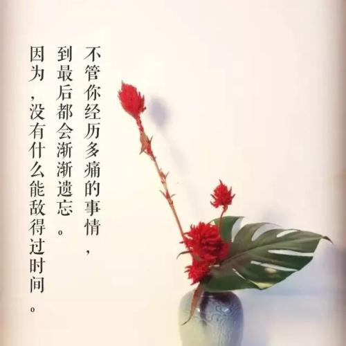 最美一句话人生格言