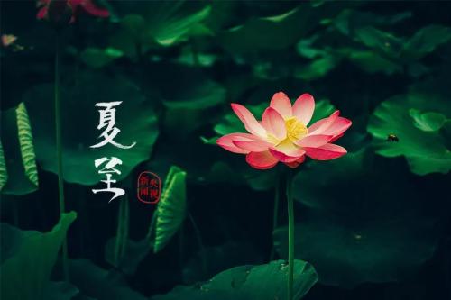 夏日炎热问候短信