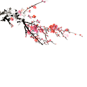 三年级下册美句摘抄大全