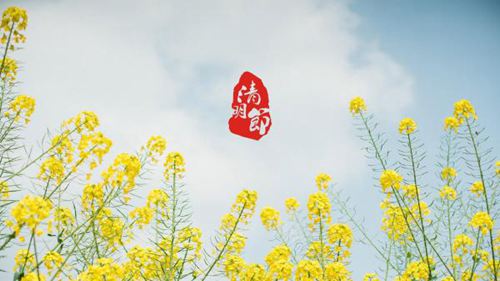 有一种思念叫做清明的唯美节日说说