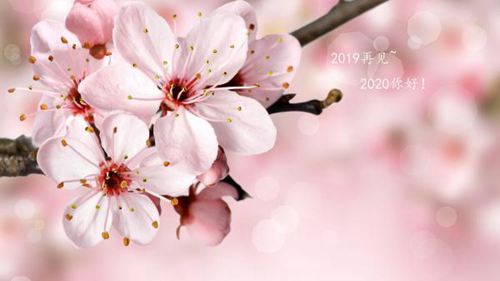 告别2020，拥抱2020的唯美说说