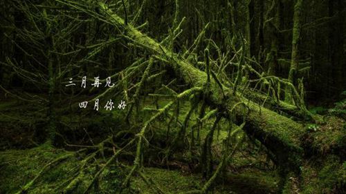 三月再见,四月你好的唯美说说
