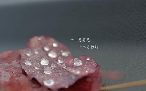 道一声十一月再见，说一声十二月你好的唯美说说