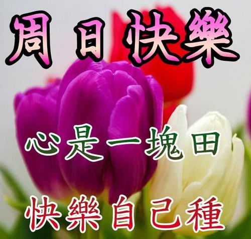 简单的周末问候短信