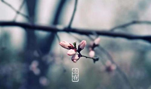 立春时节发朋友圈的唯美祝福句子