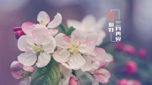 3月再见,4月你好的唯美说说