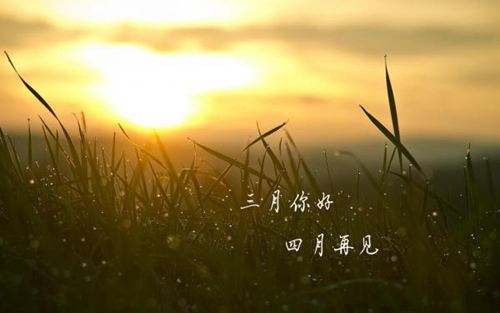 和三月说一声再见,向四月道一声你好的唯美说说