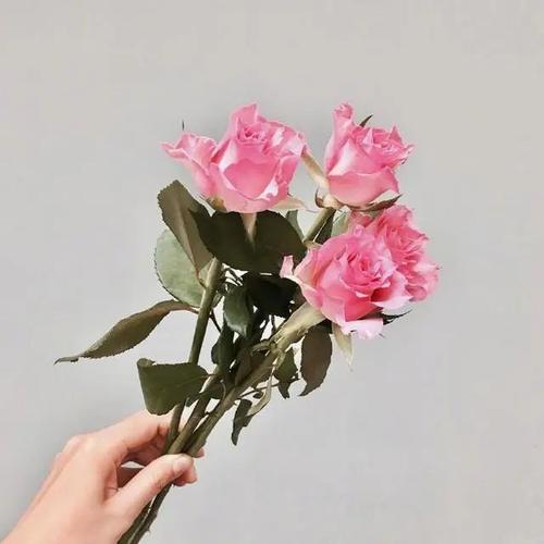 治愈爱情的暖心句子